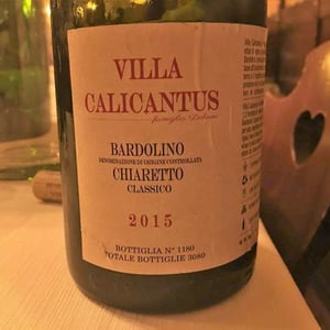 Villa Calicantus - Daniele e Chiara Delaini - SORACUNA