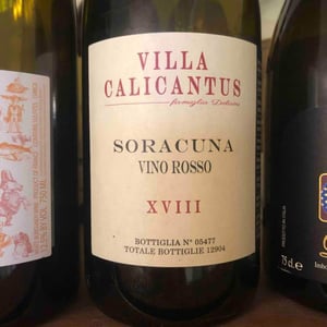 Villa Calicantus - Daniele e Chiara Delaini - SORACUNA
