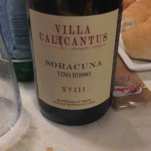 Villa Calicantus - Daniele e Chiara Delaini - SORACUNA