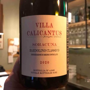 Villa Calicantus - Daniele e Chiara Delaini - SORACUNA