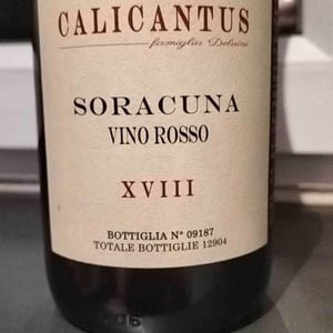 Villa Calicantus - Daniele e Chiara Delaini - SORACUNA