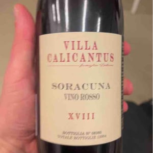 SORACUNA - Villa Calicantus - Daniele e Chiara Delaini 