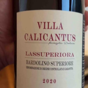 SORACUNA - Villa Calicantus - Daniele e Chiara Delaini 