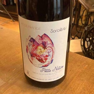 Sorcières - Petite Nature - pauline-maziou -2021