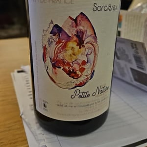 Sorcières - Petite Nature - Pauline Maziou -2021