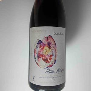 Sorcières - Petite Nature - pauline-maziou -2021
