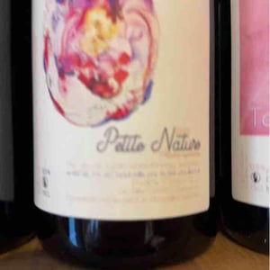 Sorcières - Petite Nature - pauline-maziou -2021