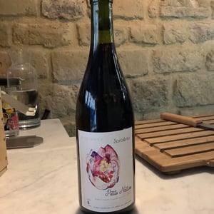 Sorcières - Petite Nature - pauline-maziou -2021