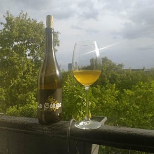 La Sorga - Antony Tortul - Sorga Blanc