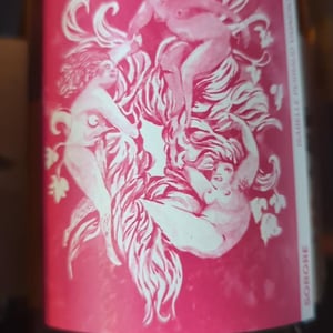Sorore - Côtes de la Molière - isabelle-bruno-perraud -2021