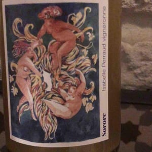 Sorore - Côtes de la Molière - isabelle-bruno-perraud -2021