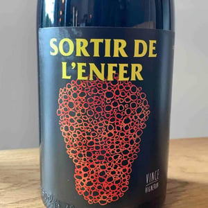 Sortir De L’Enfer - No Control - vincent-marie