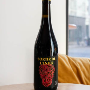 Sortir De L’Enfer - No Control - vincent-marie