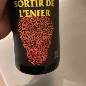 No Control - Vincent Marie - Sortir De L’Enfer