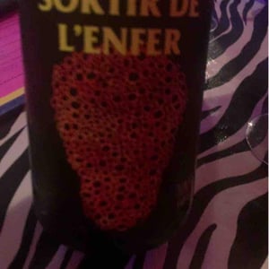 Sortir De L’Enfer - No Control - vincent-marie