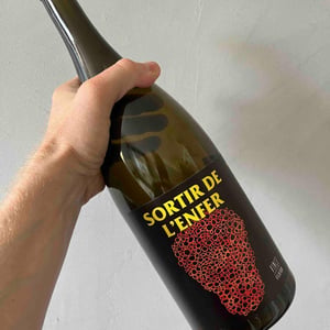 Sortir De L’Enfer - No Control - vincent-marie