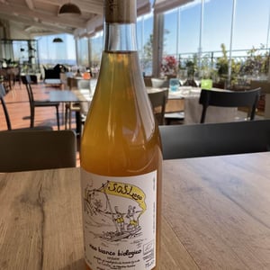 S.O.S. Lago Bianco - Le Coste - clementine-bouveron-gianmarco-antonuzi -2020