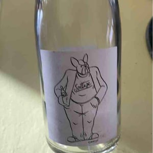 Sottise Rosé - Le Sot de l'Ange - Angélique & Quentin Bourse 