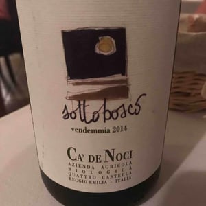Sottobosco - Ca De Noci - Alberto & Giovanni Masini 