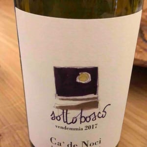 Sottobosco - Ca De Noci - Alberto & Giovanni Masini 