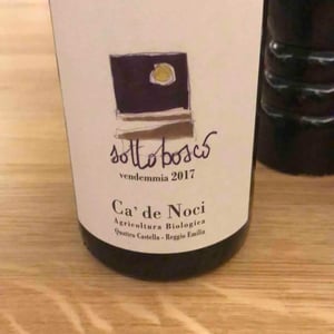 Sottobosco - Ca De Noci - Alberto & Giovanni Masini 