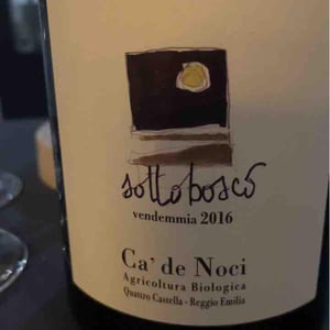 Sottobosco - Ca De Noci - Alberto & Giovanni Masini 