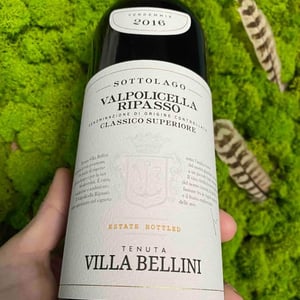 Sottolago Valpolicella Ripasso - Tenuta Villa Bellini - tenuta-villa-bellini -2016