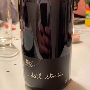 Soûl Stratus - Paul-Henri Soler - Paul-Henri Soler 