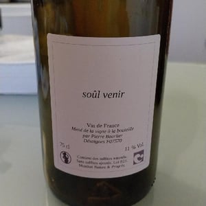 SOUL VENIR - Pierre Bourlier - Pierre Bourlier -2021