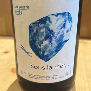 Sous la mer... - La Pierre Levée - Mickael Gares 