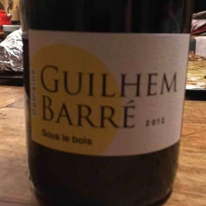 Sous Le Bois - Guilhem Barré - Guilhem Barré 