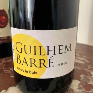 Sous Le Bois - Guilhem Barré - Guilhem Barré 