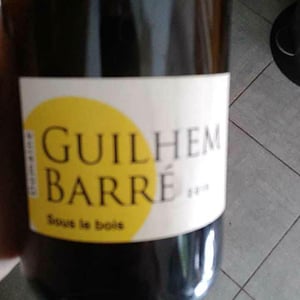 Sous Le Bois - Guilhem Barré - Guilhem Barré 