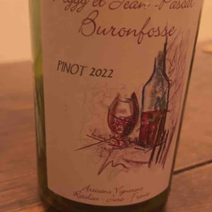 Sous le Monceau - Poulsard - Domaine Buronfosse - peggy-jean-pascal-buronfosse