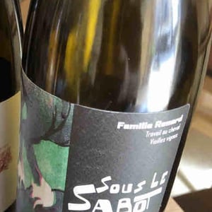 Sous Le Sabot - Famille Renard - Olivier Renard 