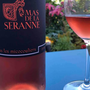 Sous Les Micoouliers - Mas De La Séranne - jean-pierre-venture