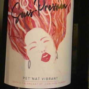 Sous pression - Les Vins De Mont-Val - Sophie Valançant & Jean-Yves Domont 