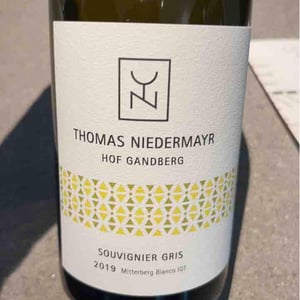 Souvignier Gris - Thomas Niedermayr – Hof Gandberg - thomas-niedermayr