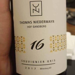 Souvignier Gris - Thomas Niedermayr – Hof Gandberg - Thomas Niedermayr 