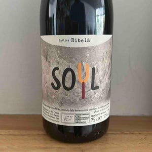 Soyl - Cantina Ribelà - Chiara Bianchi & Daniele Presutti -2022