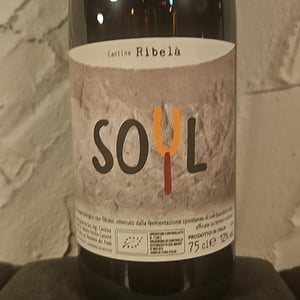 Soyl - Cantina Ribelà - Chiara Bianchi & Daniele Presutti -2022