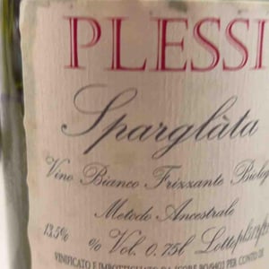 Sparglata - Claudio Plessi - Claudio Plessi -21