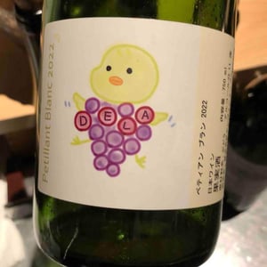 Petillant Blanc - Domaine Nakajima - Yutaka Nakajima -2022