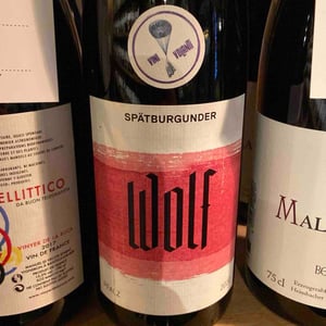 Spätburgunder - Weingut Wolf - Dennis Wolf 