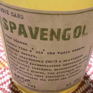 Tenuta Ca’ Sciampagne - Leonardo Cossi, Paola Grillo - Spavengol