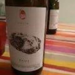 Meinklang - Weingut Michlits - Angela & Werner Michlits - Konkret Weiss