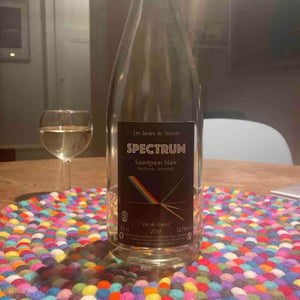 Spectrum Pineau D'Aunis - Les Jardins de Theseiis - Paul-André Risse & Anouk Lavoie-Lamoureux 