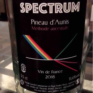 Spectrum Pineau D'Aunis - Les Jardins de Theseiis - Paul-André Risse & Anouk Lavoie-Lamoureux 