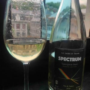 Spectrum Sauvignon Blanc - Les Jardins de Theseiis - Paul-André Risse & Anouk Lavoie-Lamoureux 