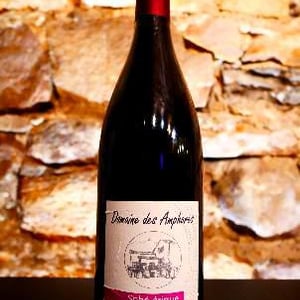 Sphère-ériques - Domaine Des Amphores - Véronique & Philippe Grenier -2020